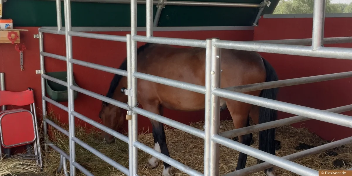 Pferd - aus dem Artikel - Diese Vorteile bieten mobile Weidezelte für die Landwirtschaft