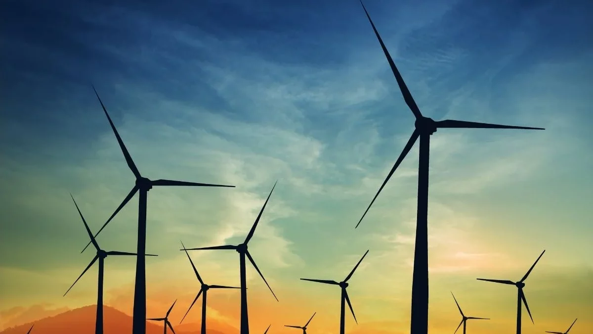 Windenergie Rostock: Die Rolle der Windkraft in der Stadtentwicklung